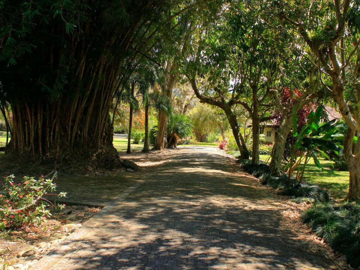 Villa Casa Sofia, A Gem Close To Orosi Thermal Pools! Exterior foto